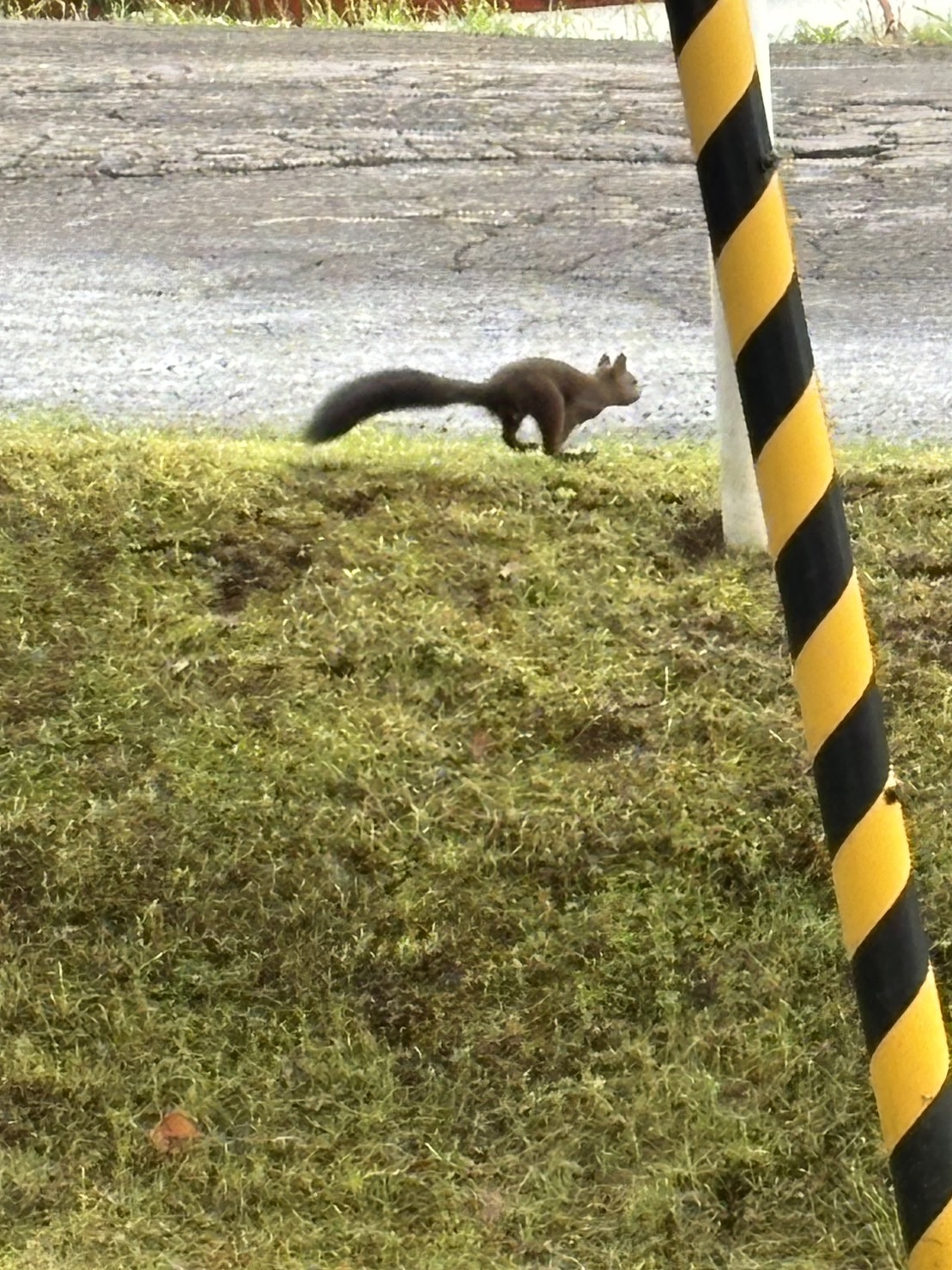 お客様の夢を形に!北海道の大地を切り拓く、新たなボーリングマシンが完成